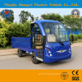 Zhongyi 3t Battery Powered Mini Deliverry Electric Utility Cargo Pickup Buggy with Ce & SGS